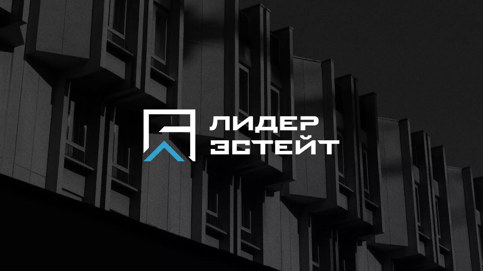 Разработка логотипа агентства недвижимости «Лидер Эстейт» в Камешково